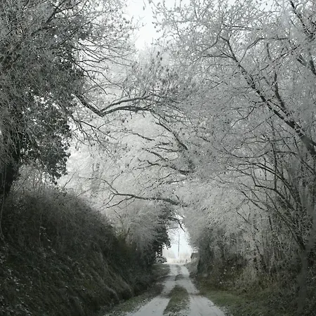 Charmante Fermette Renovee - Animaux Bienvenus - Pres De Commentry - Fr-1-489-228 * Beaune d'Allier