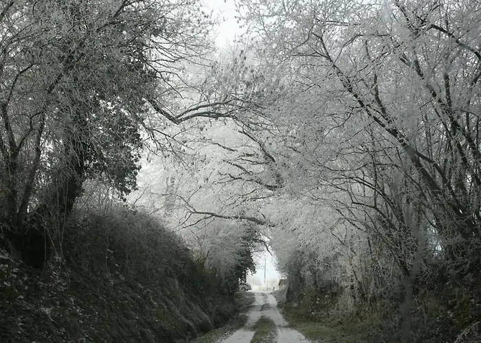 Charmante Fermette Rénovée - Animaux Bienvenus - Près De Commentry - Fr-1-489-228 * Beaune d'Allier